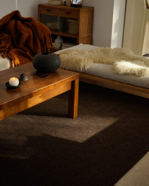 Alternative view of CANVAS Brown