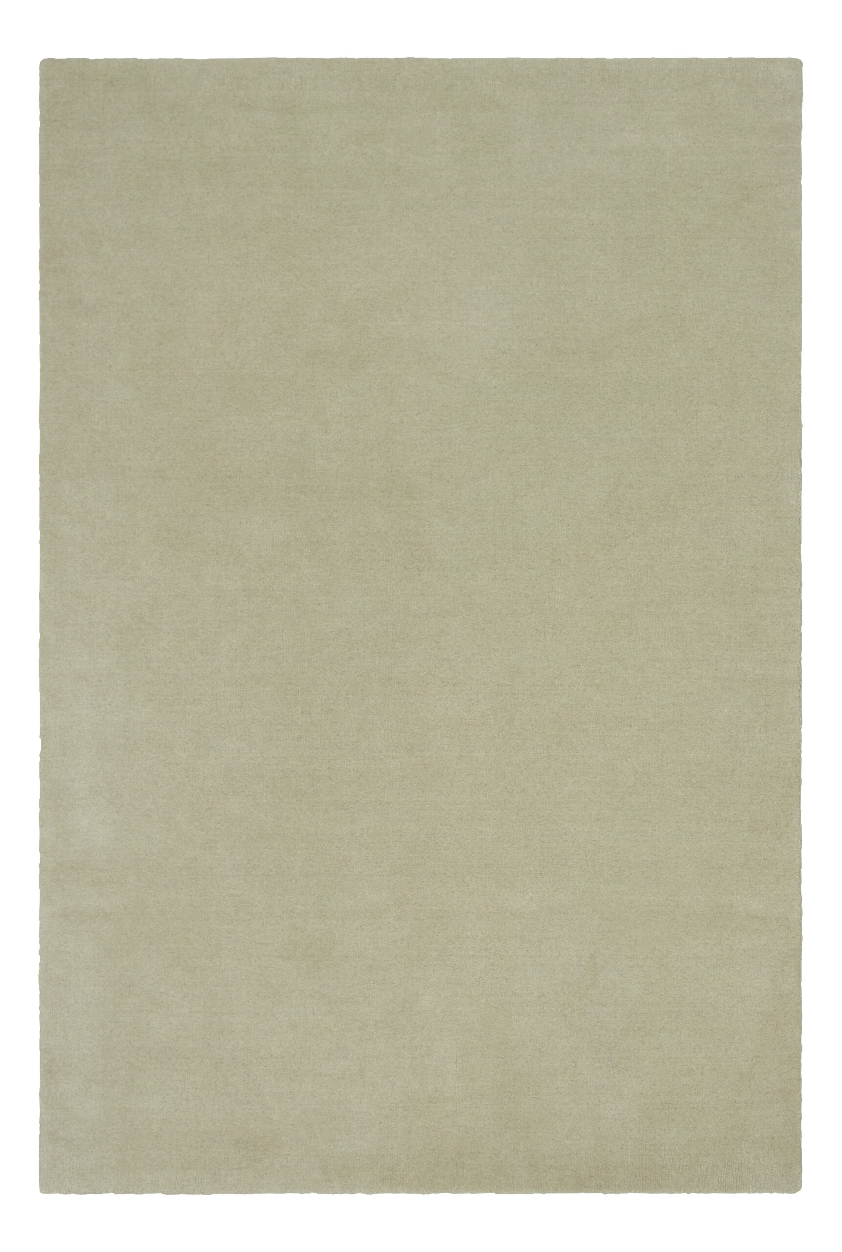 CANVAS LICHEN