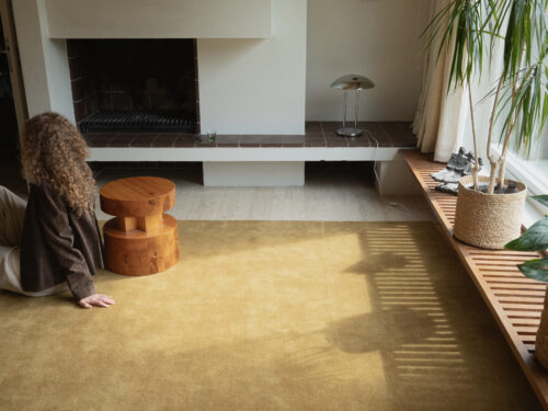 Alternative view of CANVAS OCHRE